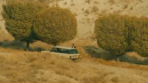 Задник к фильму "Вкус вишни" #695683