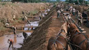 Задник к фильму "Орёл или решка?" #540759