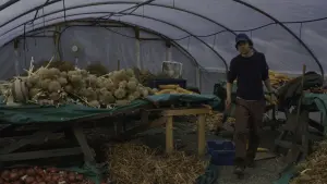 Задник к фильму "Ночные движения" #461578