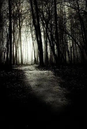 Постер к фильму "Узел дьявола" #450110