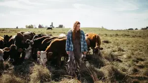 Задник к фильму "Зелень и золото" #673501