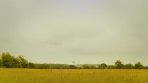 Задник к фильму "Королевство полной луны" #201681