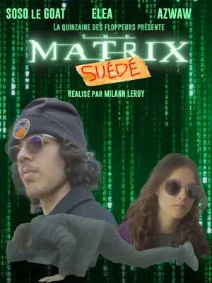 The Matrix : Suédé