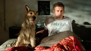 Задник к фильму "Свинина аль денте" #483062