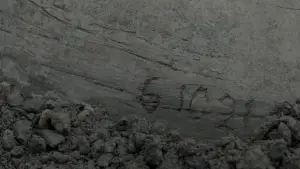 Задник к фильму "Бегущий по лезвию 2049" #548703