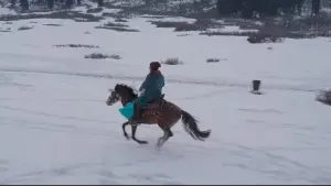 Задник к фильму "" #458697