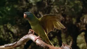 Задник к фильму "Поли" #383546