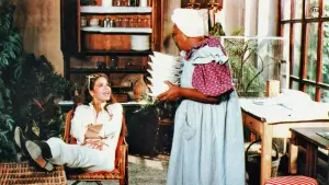 Задник к фильму "Укрощение строптивого" #238028