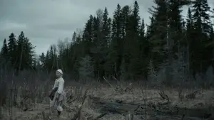 Задник к фильму "Ведьма" #600273