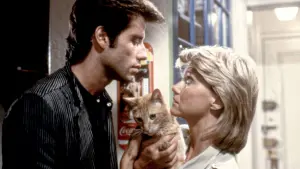 Задник к фильму "Хорошая пара" #395206