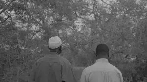 Задник к фильму "" #558047