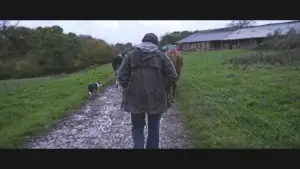 Задник к фильму "Violence dans les Champs" #794466