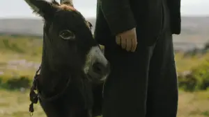 Задник к фильму "Банши Инишерина" #693702