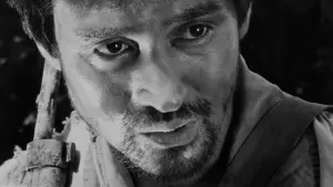 Задник к фильму "Полевые огни" #470345