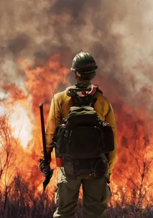 Постер к фильму "Дело храбрых" #218437