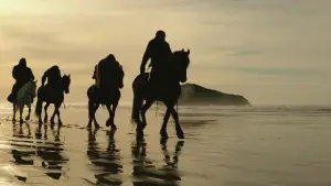 Задник к фильму "Планета обезьян: Война" #585948