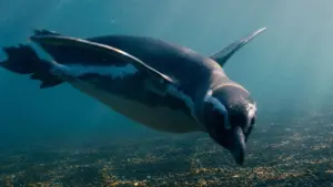 Задник к фильму "" #506449