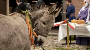 Задник к фильму "Иа" #195295