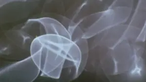 Задник к фильму "" #706788