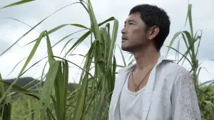 Задник к фильму "" #437751