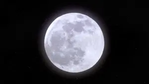 Задник к фильму "Люсия и секс" #468688