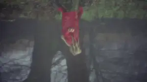 Задник к фильму "А теперь не смотри" #906099