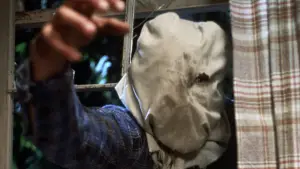 Задник к фильму "Пятница 13 - Часть 2" #665858