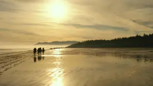 Задник к фильму "Планета обезьян: Война" #585939