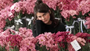 Задник к фильму "" #740247