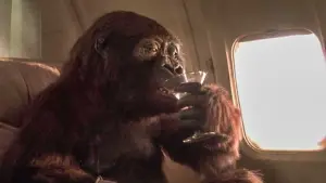 Задник к фильму "Конго" #701571