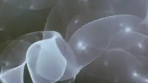 Задник к фильму "" #706790