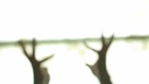 Задник к фильму "" #484927