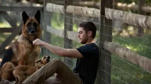 Задник к фильму "Счастливчик" #238195