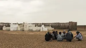 Задник к фильму "Перелётные птицы" #469415