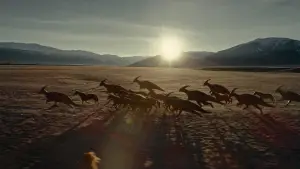 Задник к фильму "Мир Юрского периода: Господство" #565090