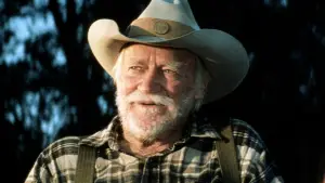 Задник к фильму "Простая история" #529253