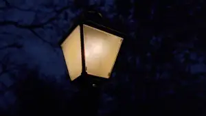 Задник к фильму "Древо жизни" #852797
