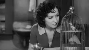 Задник к фильму "Городская девчонка" #496435