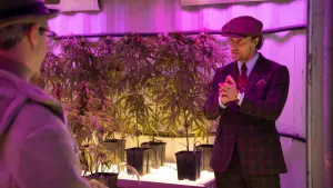 Задник к фильму "Джентльмены" #202374