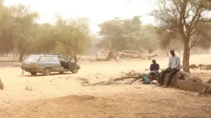 Задник к фильму "Легенды саванны" #439461