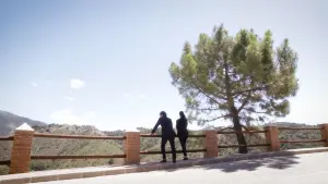 Задник к фильму "" #493306