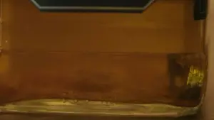 Задник к фильму "Прелюбодеи" #608582