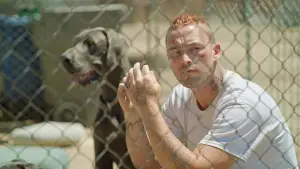 Задник к фильму "" #498589