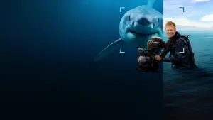 Задник к фильму "Лицом к лицу с акулами с Берти Грегори" #793001