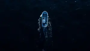 Задник к фильму "Убийство в море: загадка семьи Карман" #691955