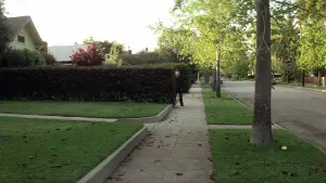 Задник к фильму "Хэллоуин" #610798