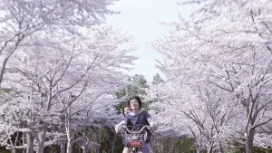 Задник к фильму "Дневник Умимати" #207314