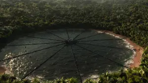 Задник к фильму "Голодные игры: И вспыхнет пламя" #625220