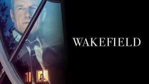 Задник к фильму "Во всем виноват енот" #302095