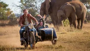 Задник к фильму "Миа и белый лев" #225686